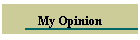 My Opinion
